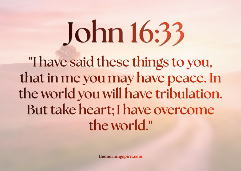 john 16:33 bible for image